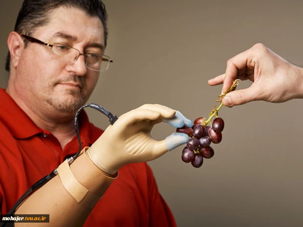 Creating a Prosthetic Hand That Can Feel 2