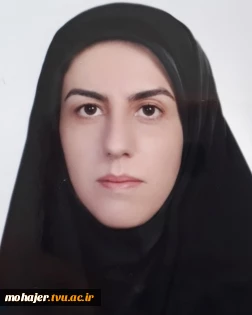 معرفی اعضای هیات علمی دانشکده شهید مهاجر 5